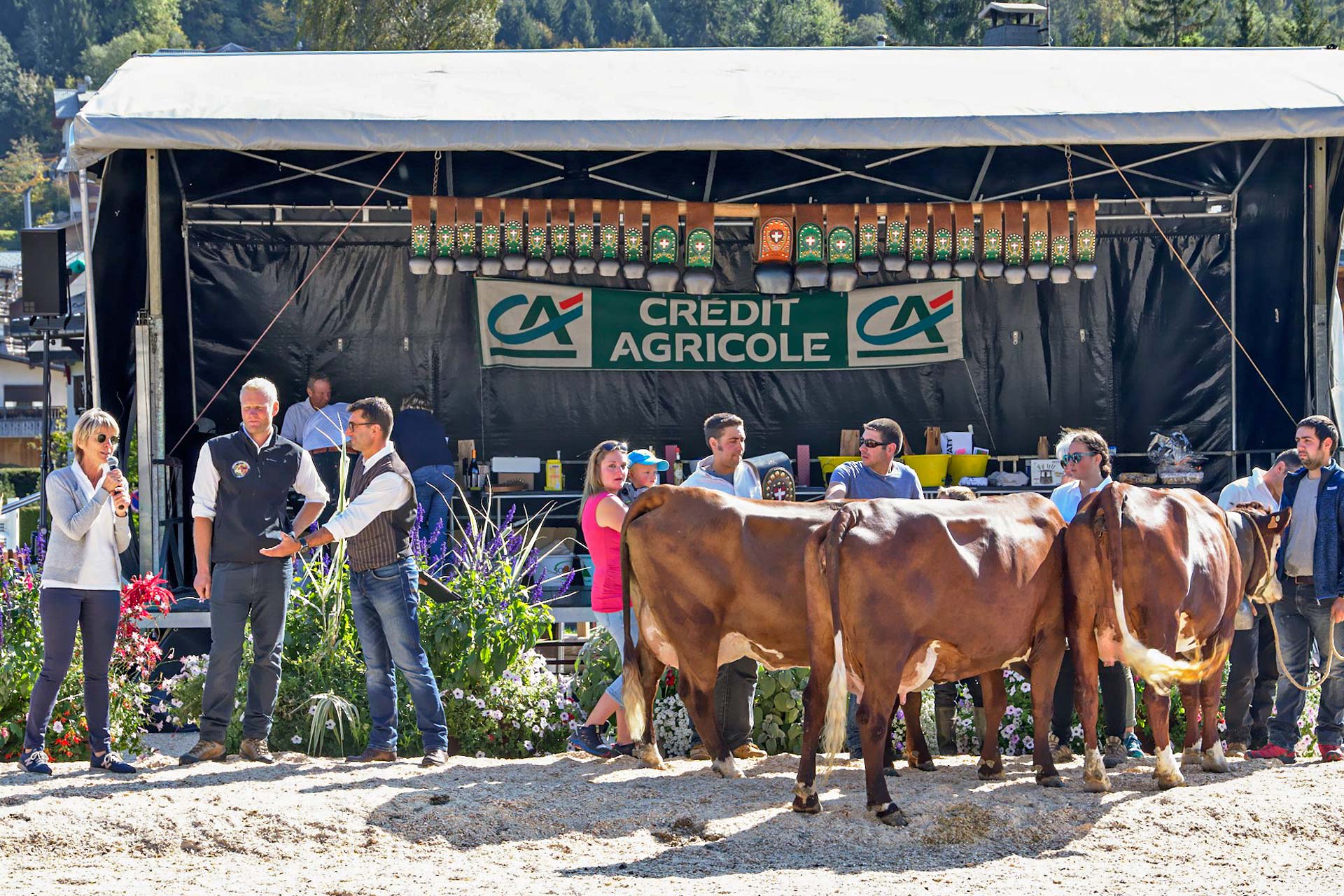 Concours de la race Abondance