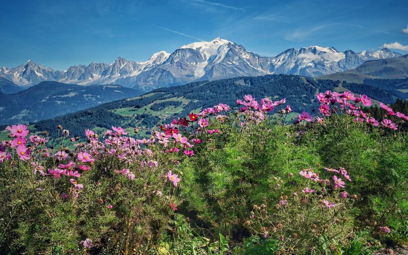 Top 5 des plus beaux panoramas en été selon Megève Forever